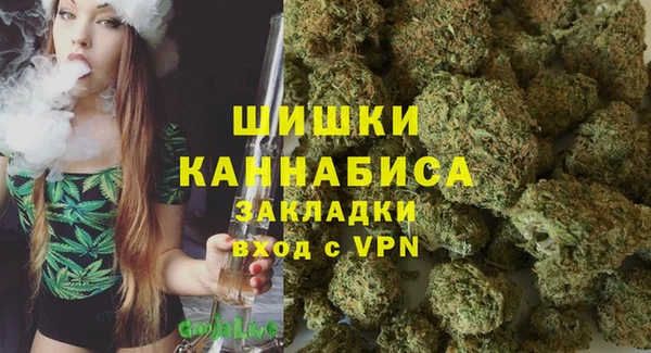 метадон Алексин