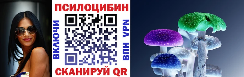 купить закладку  Салават  Галлюциногенные грибы мицелий 